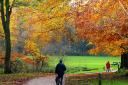 Autumn’s best clothes bring vibrant colour to Sheringham Park