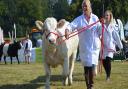 The Aylsham Show is scheduled to return on August 29, 2022