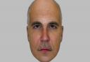 An e-fit image of the man sought by police in connection with a rape at Great Ryburgh.