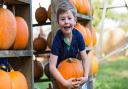 The Pumpkin House is returning for Halloween 2022.