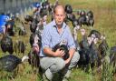 Poultry farmer Rob Morton with his free-range Christmas turkeys at Skeyton - pictured before the mandatory housing order was enforced from October 12