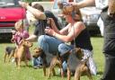 A dog show which was due to take place in Mundesley this weekend has been called off. File photo