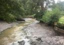 A section of the River Glaven taken last year