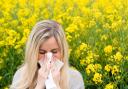 A  pollen bomb is set to hit Norfolk this weekend