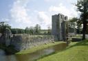 The public can get in on the action at Baconsthorpe Castle conservation