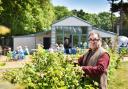 Owner Desmond MacCarthy outside the café at Wiveton Hall