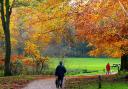 Autumn’s best clothes bring vibrant colour to Sheringham Park