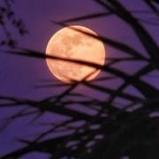 Tomorrow's full moon will be a supermoon - brighter and closer to earth than normal