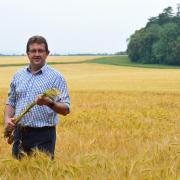 James Beamish, farm manager at the Holkham Estate, is one of many farmers concerned about the impact of the 'pingdemic' on this year's harvest