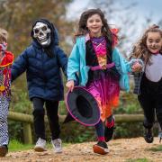 Head to Pensthorpe for Halloween fun over October half term.