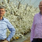 Pieter van Egmond (right) will replace Tim Place (left) as managing director of Norfolk-based fruit grower Place UK