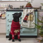 Dizzie the dog is the face of a new textile range for AGA Cookshop. Picture: ASH PHOTOGRAPHY LTD.