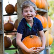 The Pumpkin House is returning for Halloween 2022.