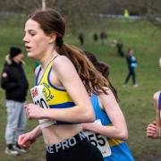 North Norfolk runner Rosie Dickety competing at Beckenham.