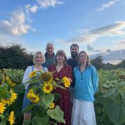 From LtR Isobel Duncan, James Duncan, Samantha Duncan, Angus Duncan and Harriet Duncan at the Sunflower field in Field Dalling, near Holt