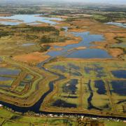 Flooding at the marshes around Hickling and Martham