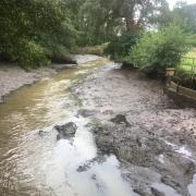 A section of the River Glaven taken last year