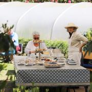 A charity serving cakes and scones at an open day at Stody Lodge Gardens.