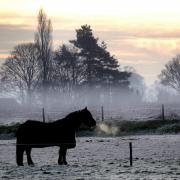 A cold weather alert has been issued for Norfolk this week