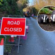 Badgers were to blame for a burst pipe which left a Norfolk village without water, Anglian Water has confirmed