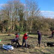 The community will be able to host gatherings in the orchard