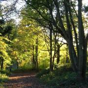 Holt Country Park has closed due to strong winds