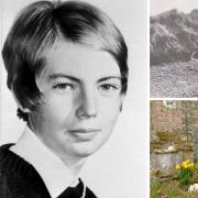 It remains one of the highest profile missing person cases in Norfolk’s history. The disappearance of 13-year-old schoolgirl April Fabb - 55 years on