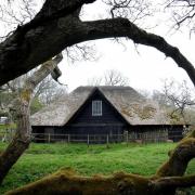 Volunteers at Gunton Saw Mill have been told to 'temporarily' stop using the machinery.