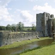 The public can get in on the action at Baconsthorpe Castle conservation