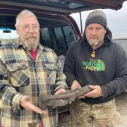 Bones found at West Runton are to be displayed