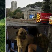 The dog was with his owner inside the Overstand Church for 25-hours