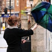 Gale force winds will hit parts of Norfolk this weekend