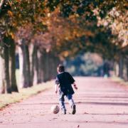 Here are 15 photos showing Norfolk's autumn colour over the years