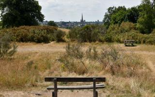 Norfolk and Eats Anglia has endured the driest July since records began 200 years ago, the Met Office has confirmed