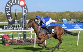 North Norfolk jockey Fletcher Yarham in action