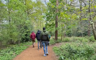 A range of activities ahead of Holt Youth Project's Big 20th anniversary celebrations on November 5. Walking in Bluebell Wood. Picture: Holt Youth Project